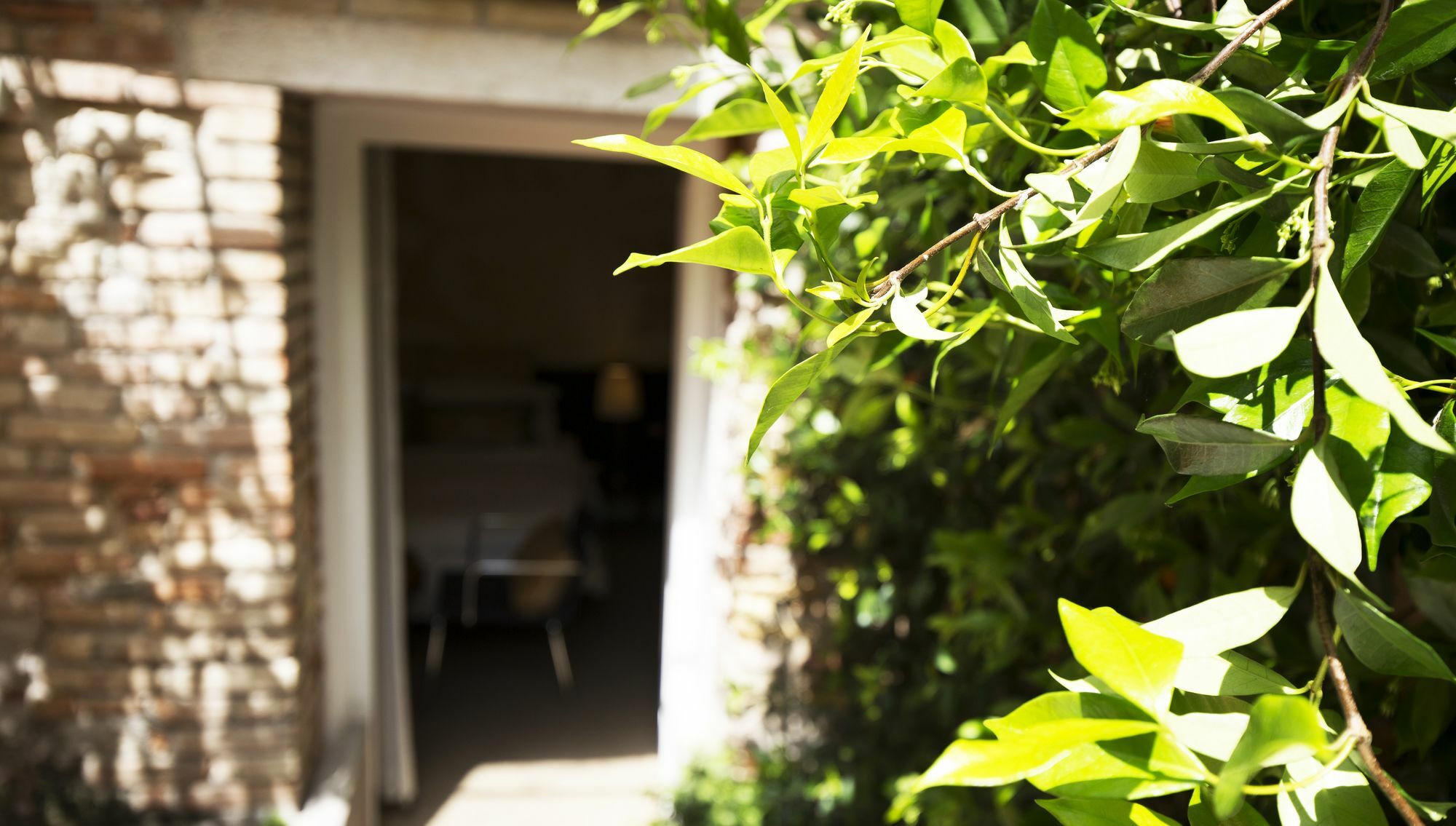 Avogaria 5 Rooms Venecia Exterior foto